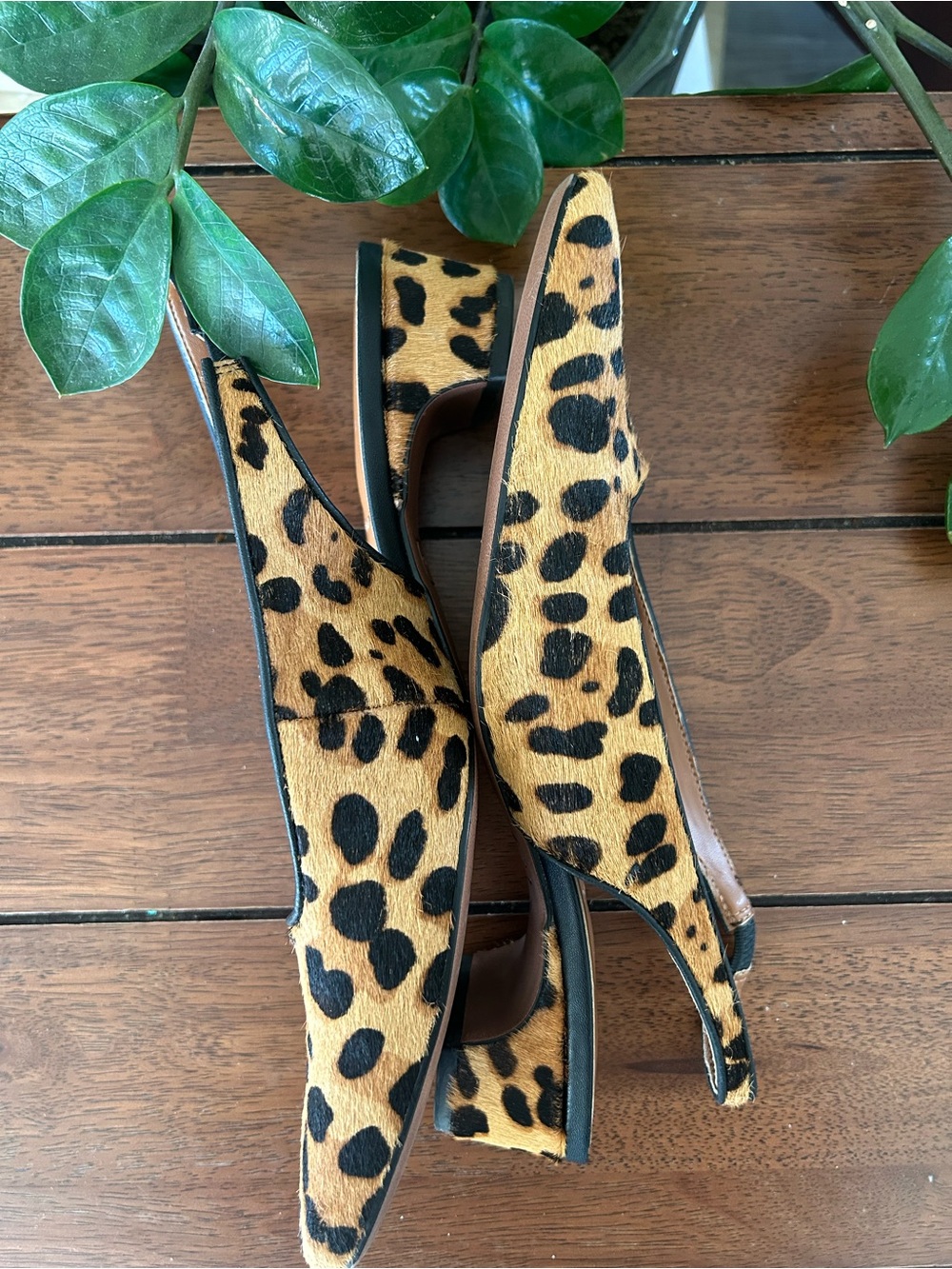 Franco Sarto Leopard Print Slingback Pointed Toe Mules - Tan & Black - Picture 10 of 16
